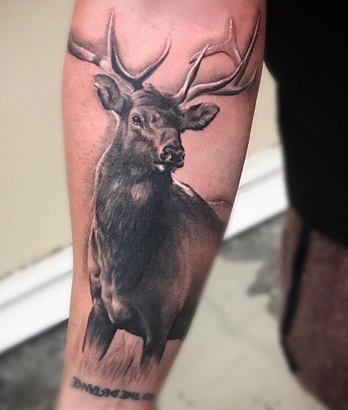 30 Pretty Elk Tattoos Make You Beautiful Forever