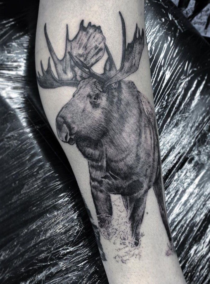 30 Pretty Moose Tattoos You Will Love