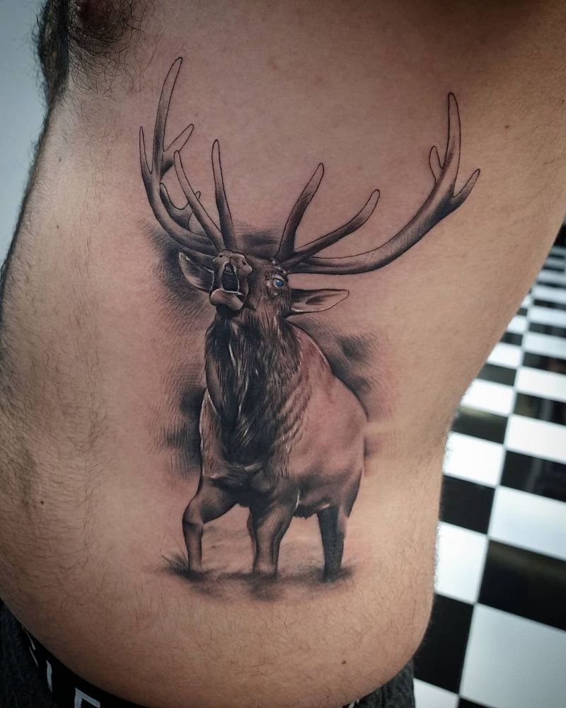 30 Pretty Moose Tattoos You Will Love