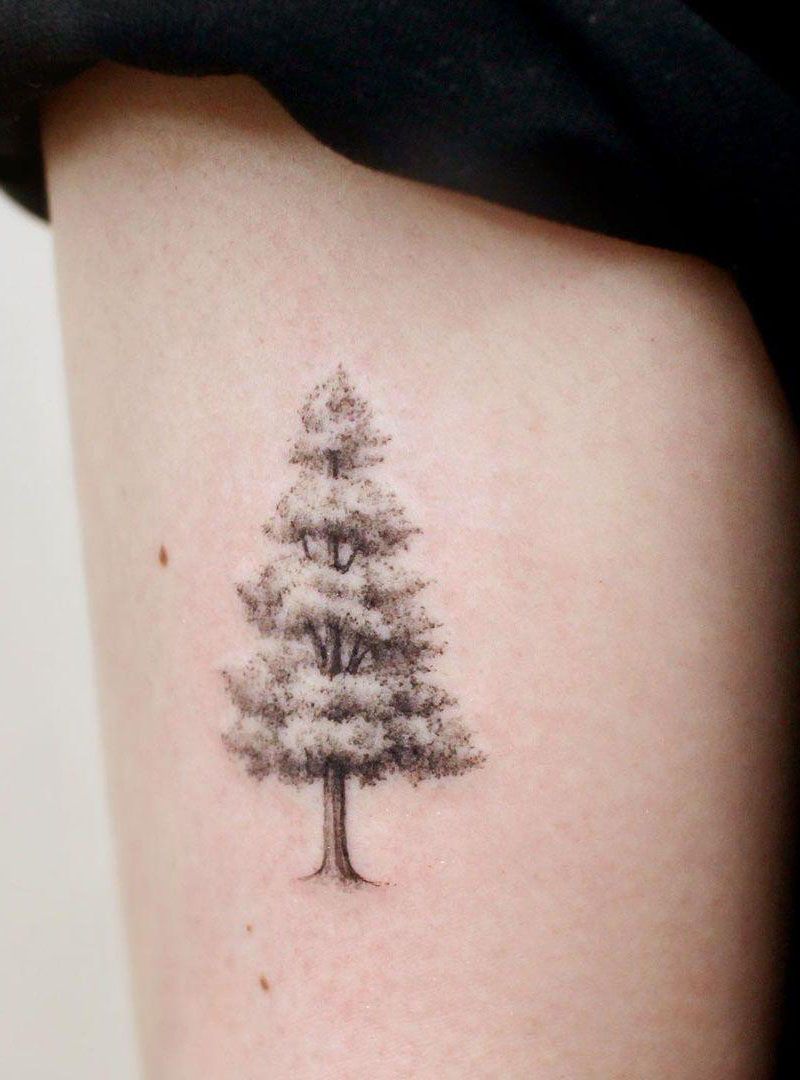 30 Pretty Pine Tree Tattoos You Will Love