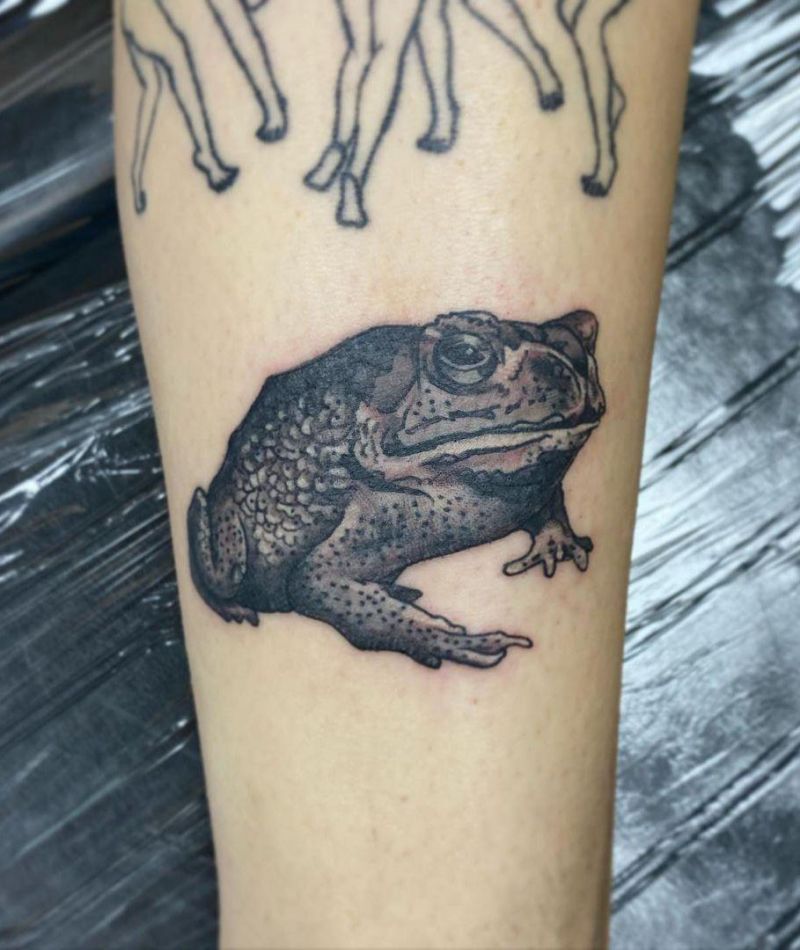 30 Pretty Toad Tattoos You Must Try