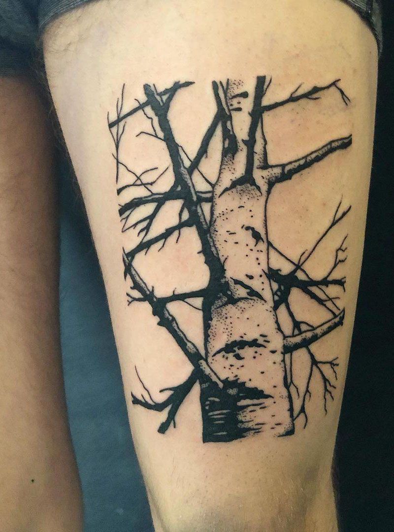 30 Pretty Birch Tree Tattoos Make You Attractive