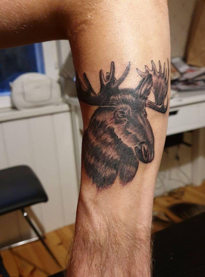 30 Pretty Moose Tattoos You Will Love