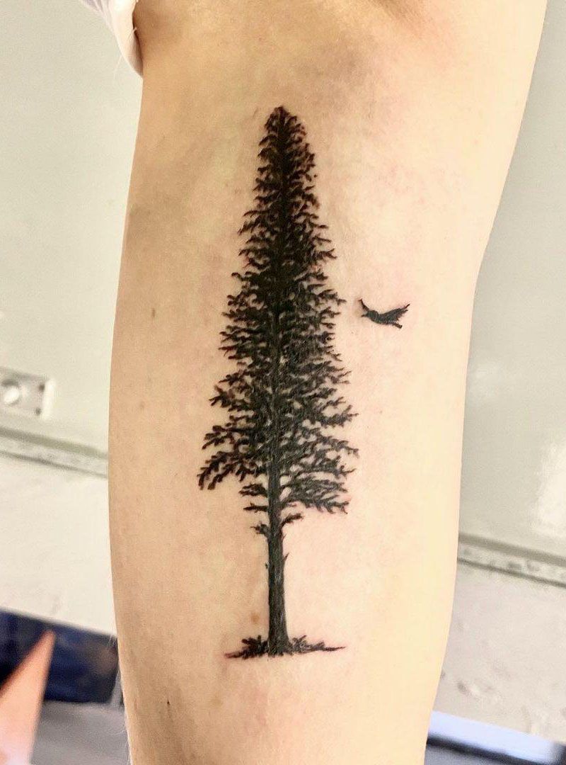 30 Pretty Pine Tree Tattoos You Will Love