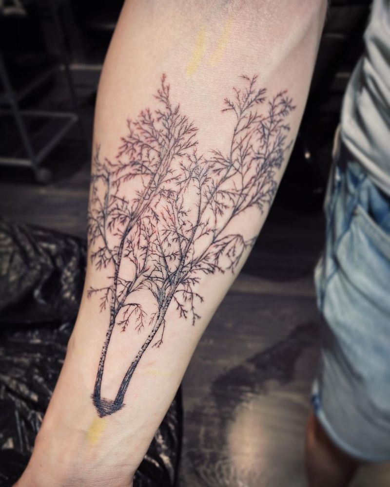 30 Pretty Birch Tree Tattoos Make You Attractive