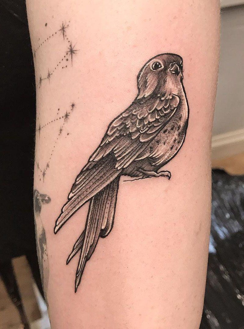 30 Pretty Kestrel Tattoos Give You an Unexpected Feeling