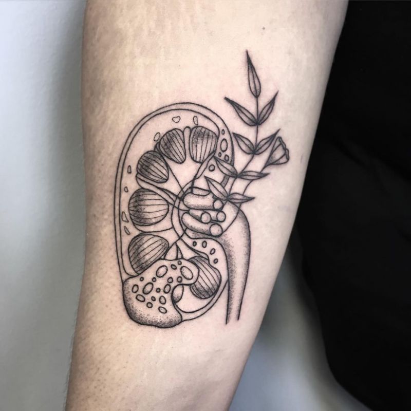 30 Pretty Kidney Tattoos You Will Love