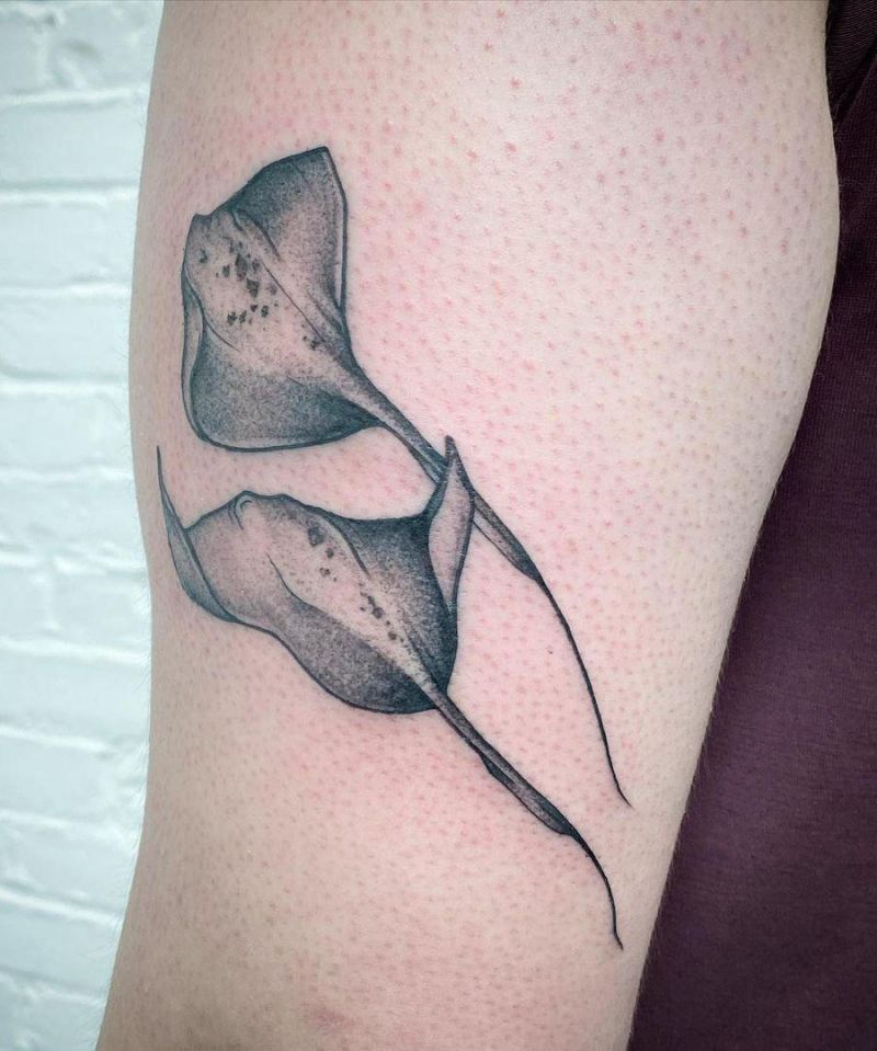 30 Pretty Stingray Tattoos Enhance Your Temperament