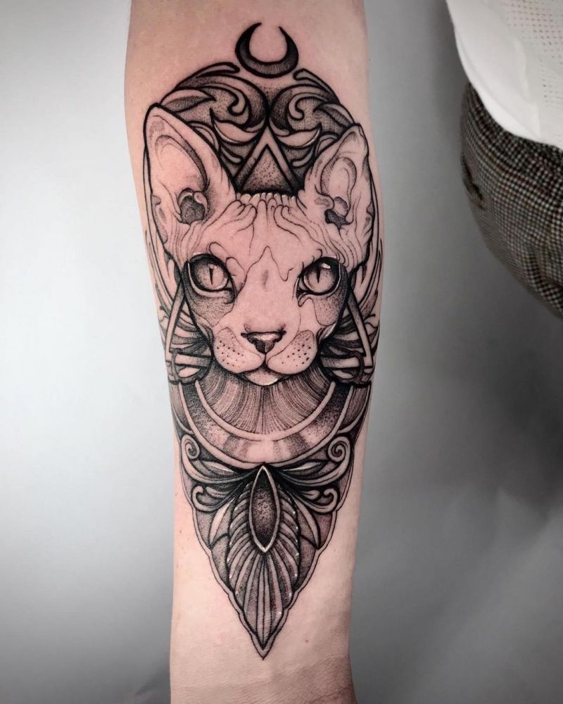 30 Pretty Sphinx Cat Tattoos to Inspire You