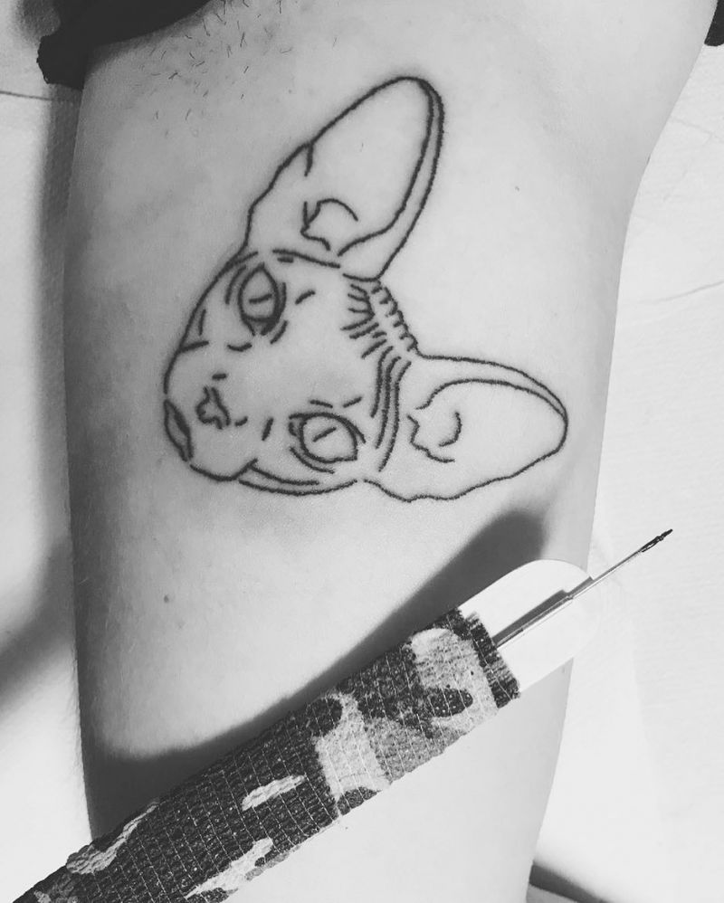 30 Pretty Sphinx Cat Tattoos to Inspire You