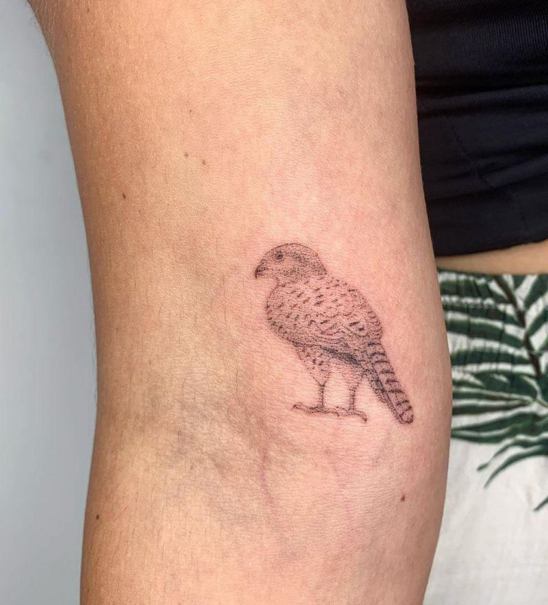 30 Pretty Kestrel Tattoos Give You an Unexpected Feeling