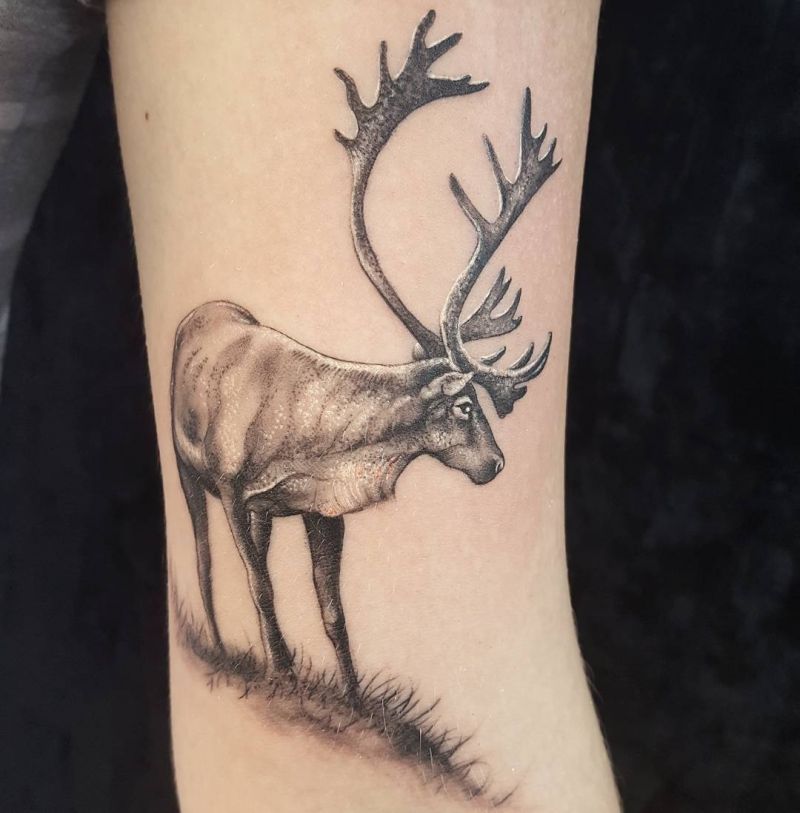 30 Pretty Caribou Tattoos You Will Love