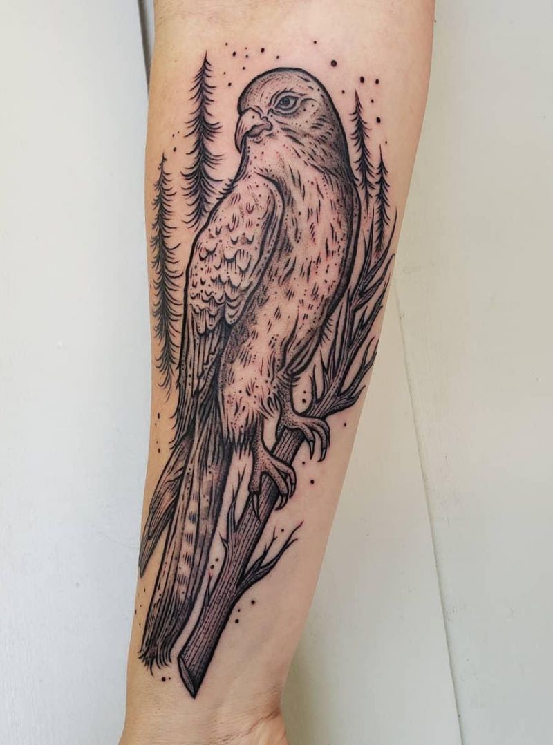 30 Pretty Kestrel Tattoos Give You an Unexpected Feeling