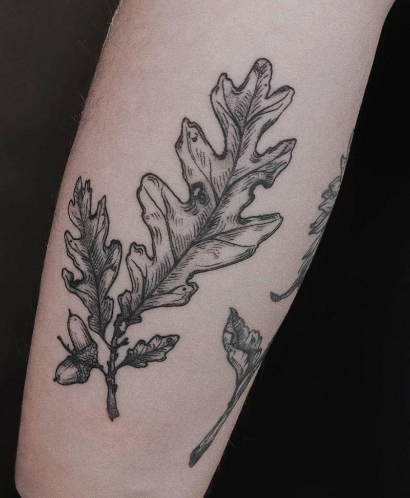 30 Pretty Oak Tattoos to Inspire You