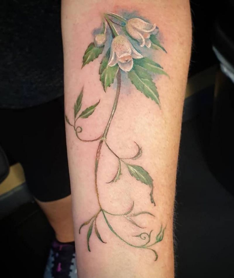 30 Pretty Clematis Tattoos You Must Try