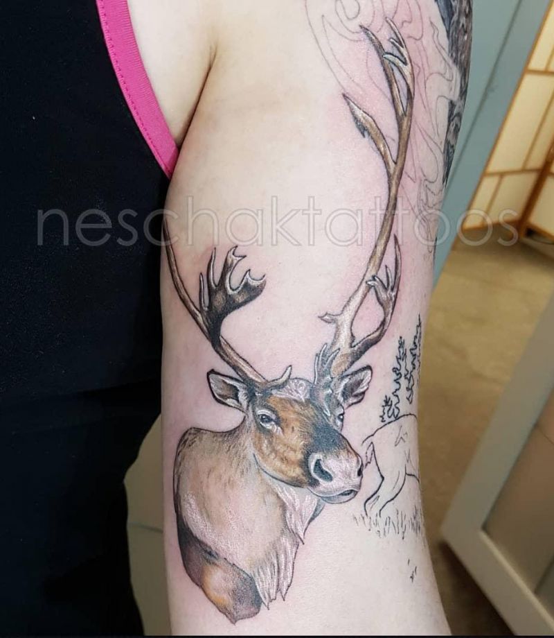 30 Pretty Caribou Tattoos You Will Love