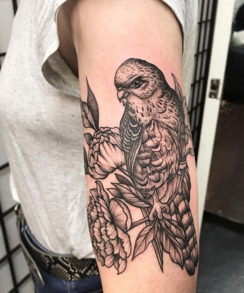 30 Pretty Kestrel Tattoos Give You an Unexpected Feeling