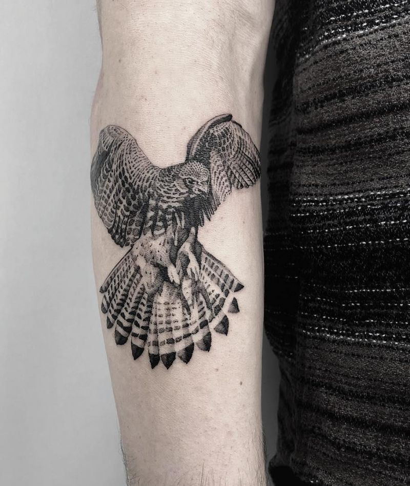 30 Pretty Kestrel Tattoos Give You an Unexpected Feeling