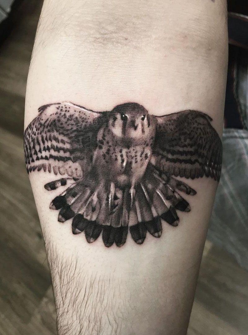 30 Pretty Kestrel Tattoos Give You an Unexpected Feeling