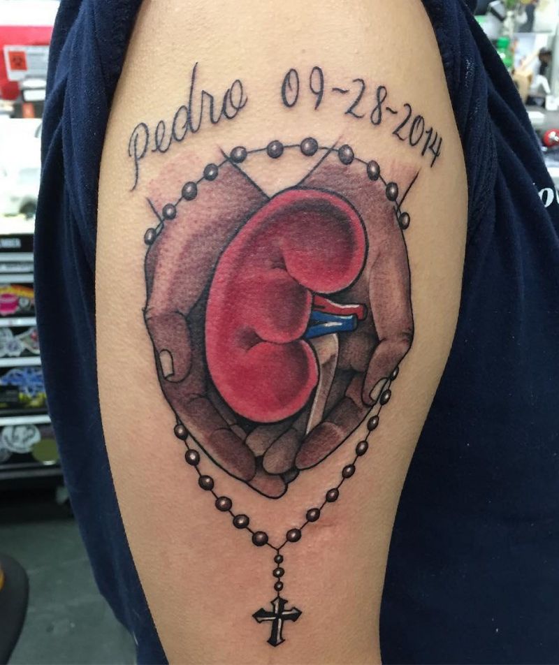 30 Pretty Kidney Tattoos You Will Love