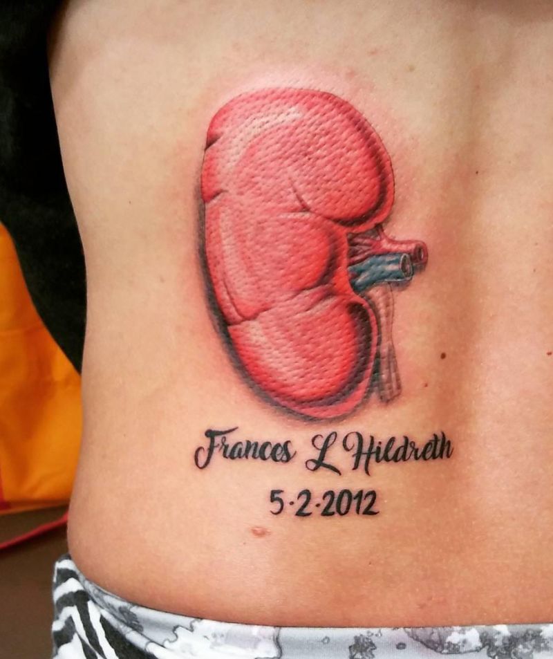 30 Pretty Kidney Tattoos You Will Love