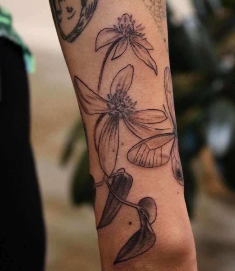 30 Pretty Clematis Tattoos You Must Try