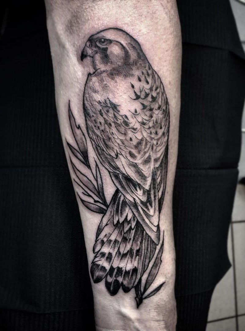 30 Pretty Kestrel Tattoos Give You an Unexpected Feeling