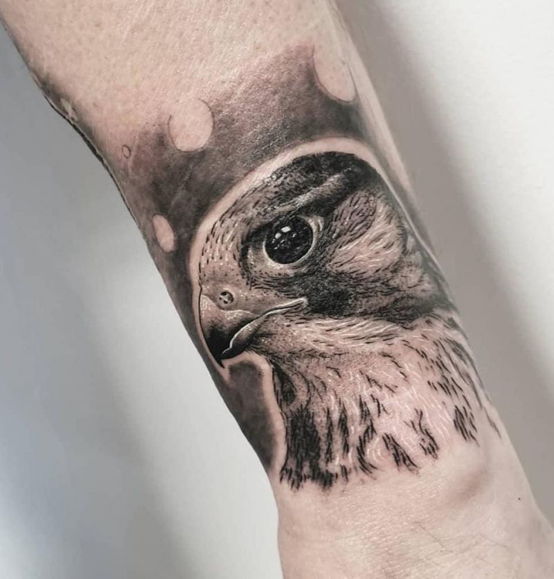 30 Pretty Kestrel Tattoos Give You an Unexpected Feeling