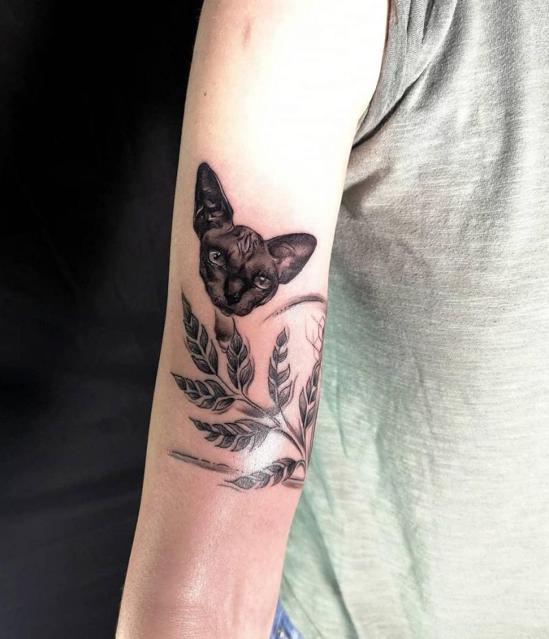 30 Pretty Sphinx Cat Tattoos to Inspire You