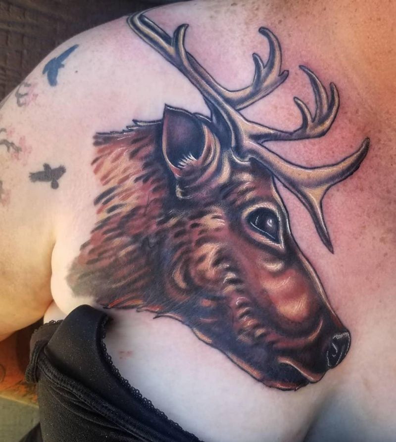 30 Pretty Caribou Tattoos You Will Love