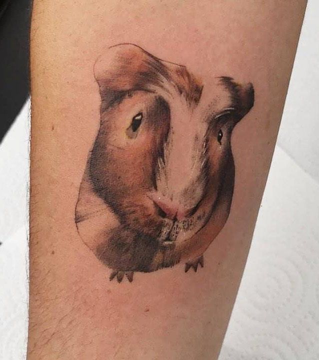 30 Pretty Guinea Pig Tattoos You Must Try