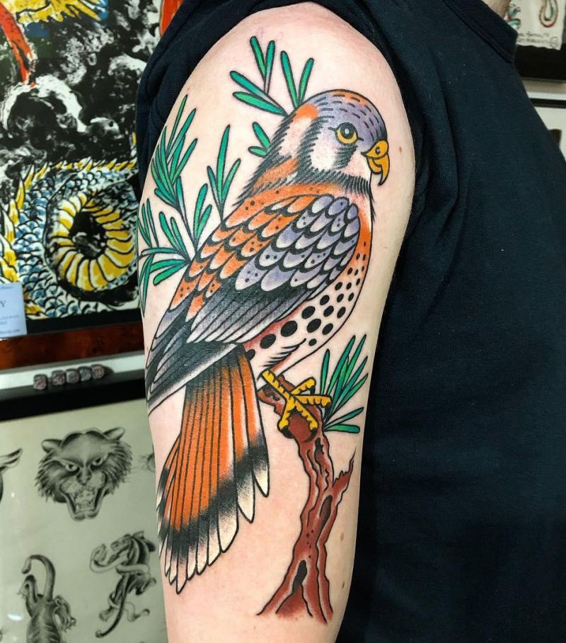 30 Pretty Kestrel Tattoos Give You an Unexpected Feeling