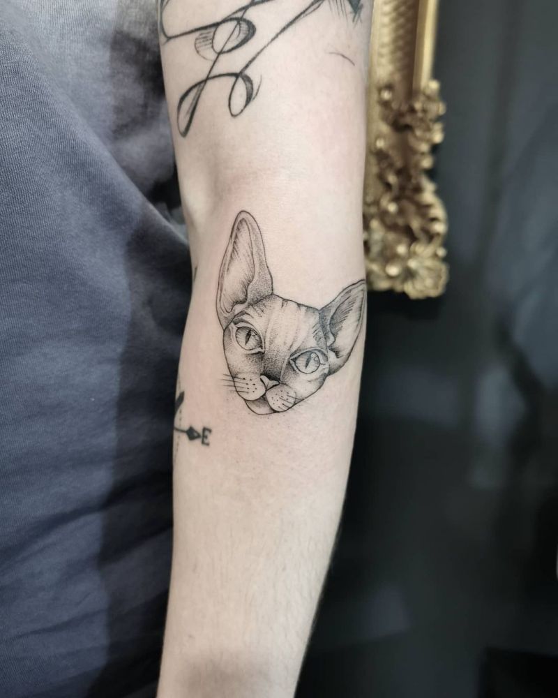 30 Pretty Sphinx Cat Tattoos to Inspire You