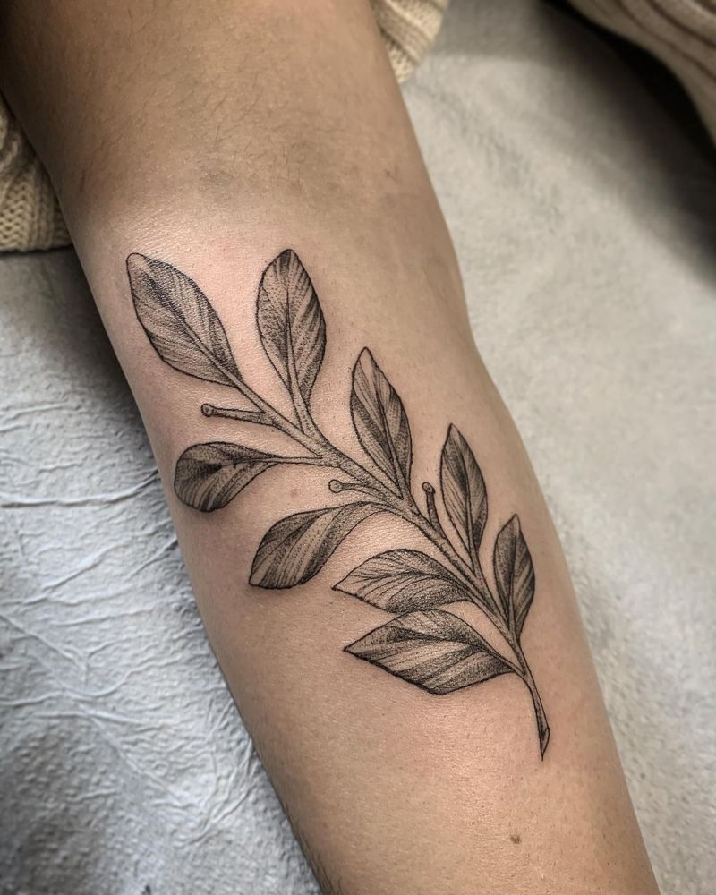 30 Pretty Laurel Tattoos to Inspire You