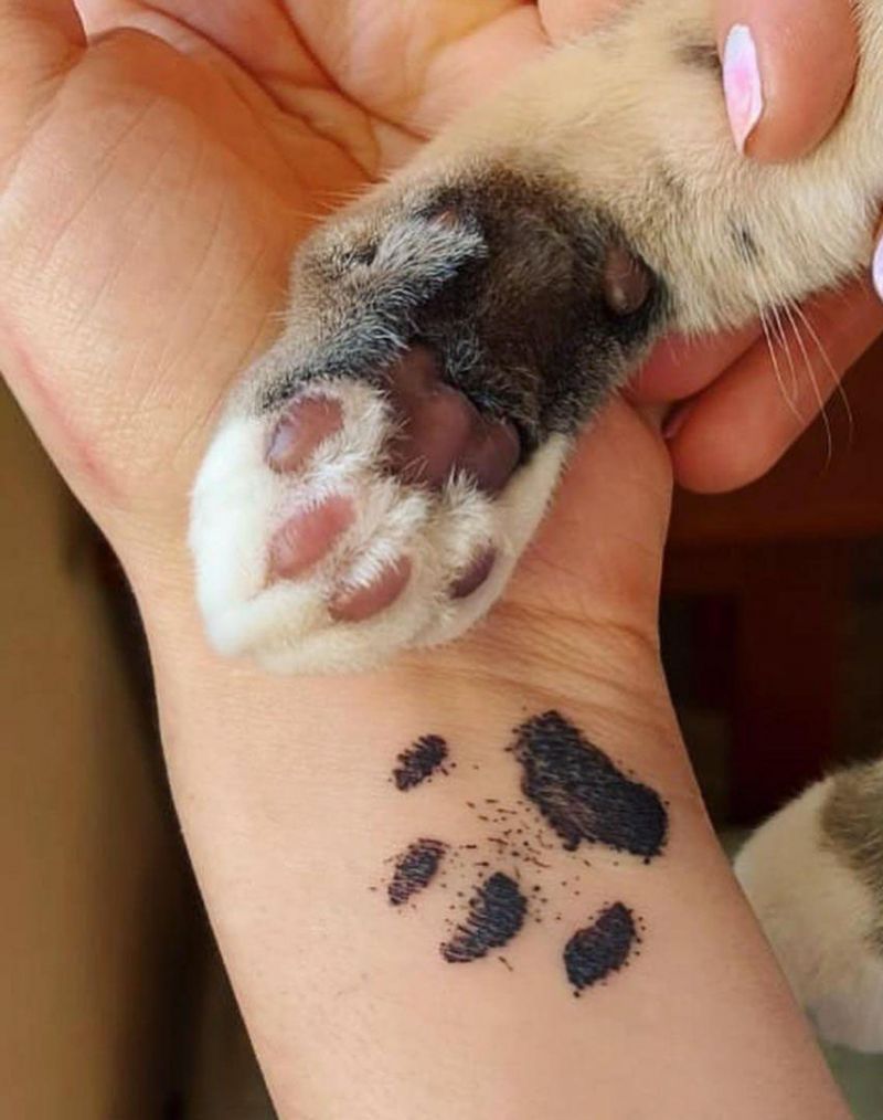 30 Cute Cat Paw Tattoos You Must Love