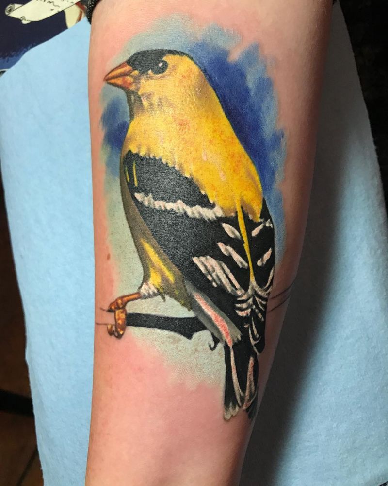 30 Cute Finch Tattoos You Must Love