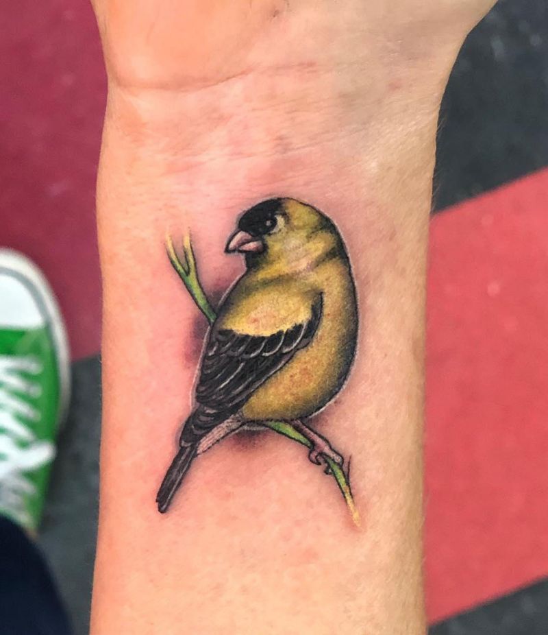 30 Cute Finch Tattoos You Must Love