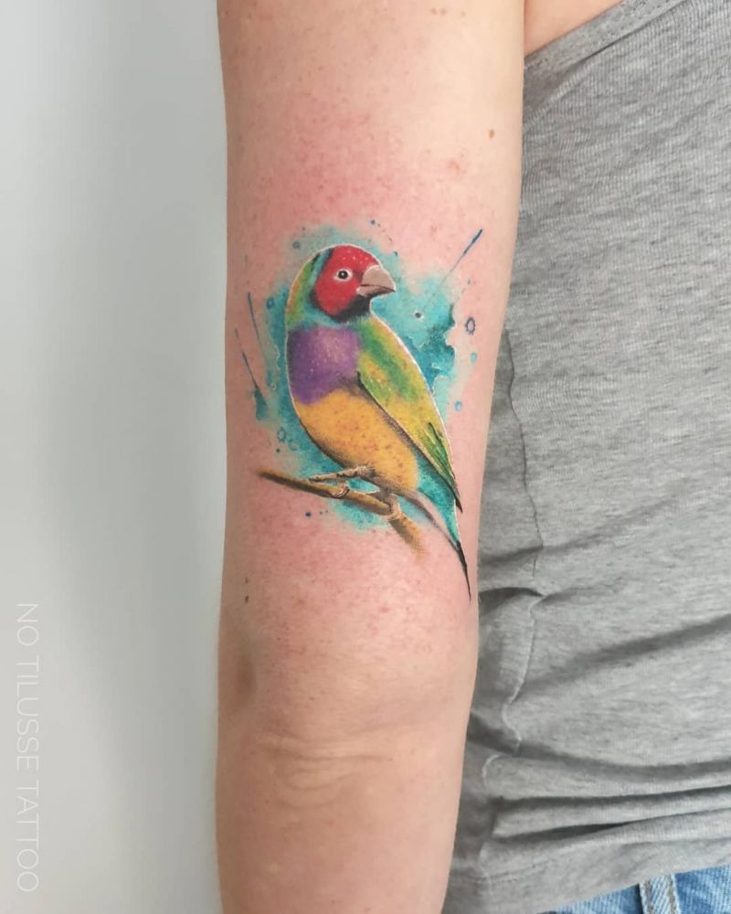 30 Cute Finch Tattoos You Must Love