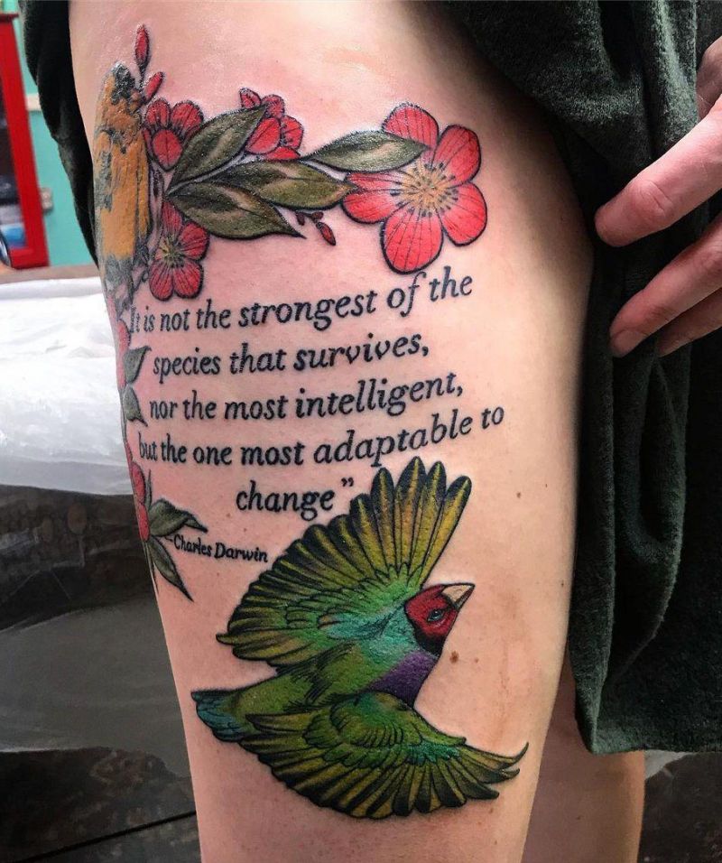 30 Cute Finch Tattoos You Must Love