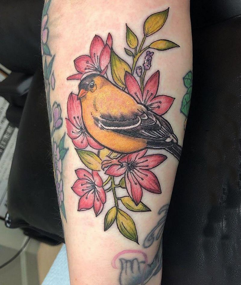 30 Cute Finch Tattoos You Must Love