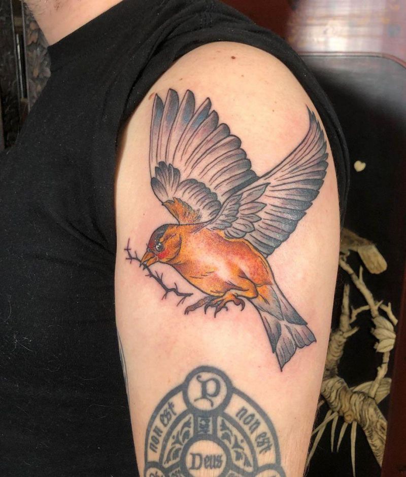 30 Cute Finch Tattoos You Must Love