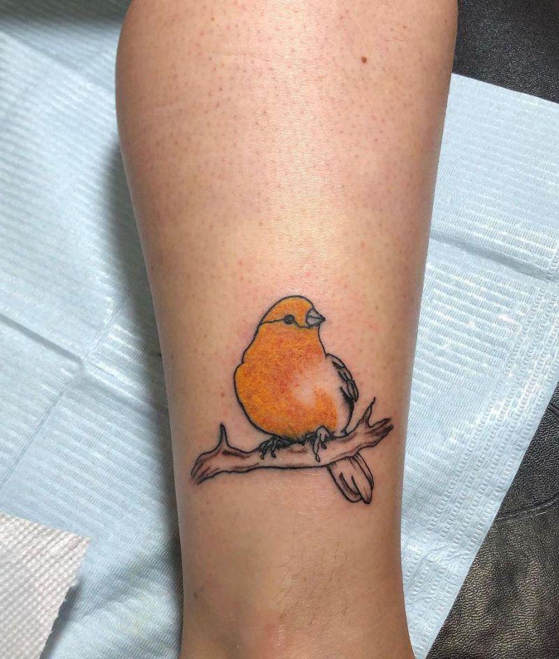 30 Cute Finch Tattoos You Must Love