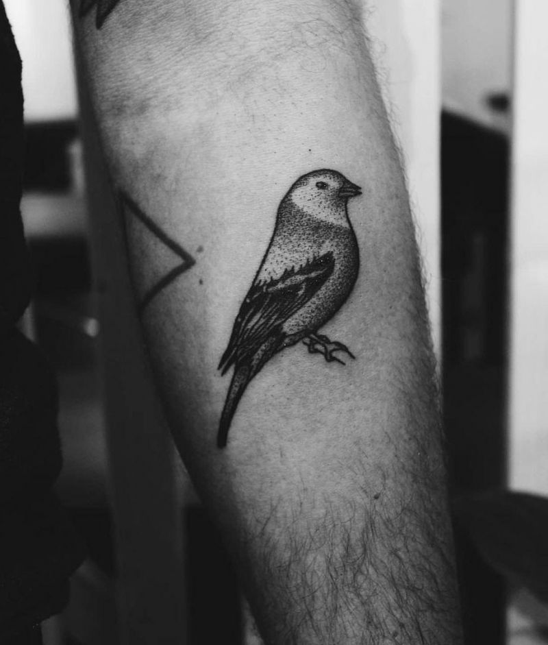 30 Cute Finch Tattoos You Must Love