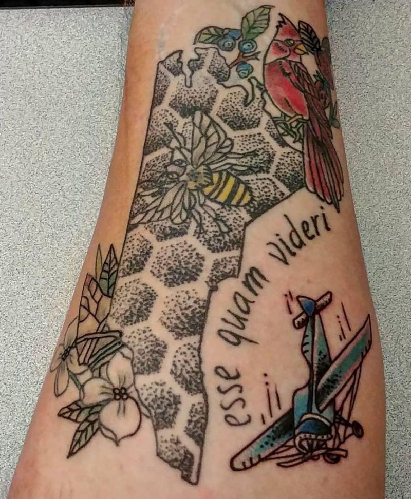 30 Pretty Biplane Tattoos You Can Copy