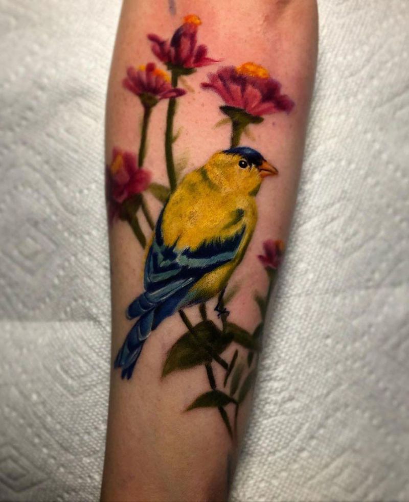 30 Cute Finch Tattoos You Must Love