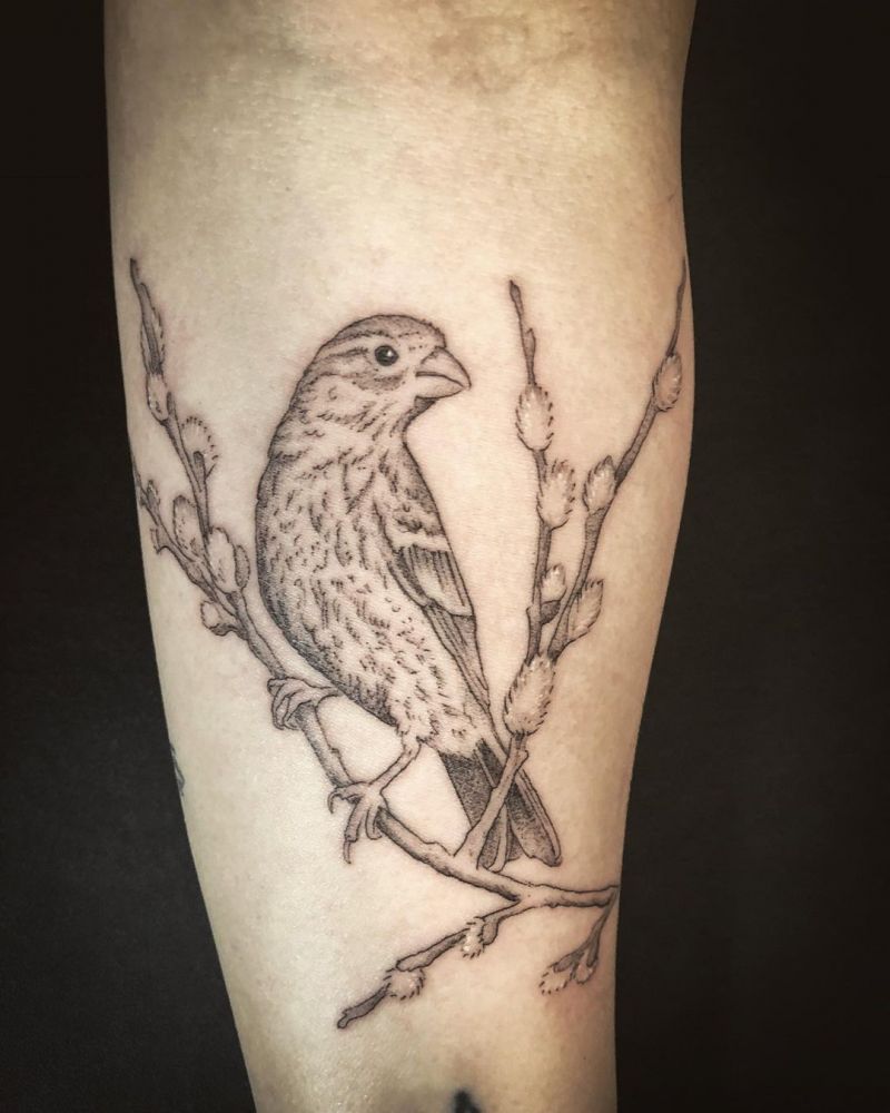 30 Cute Finch Tattoos You Must Love