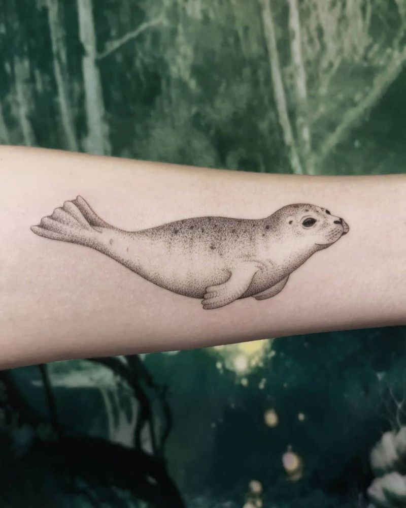 30 Pretty Seal Tattoos You Need to Copy