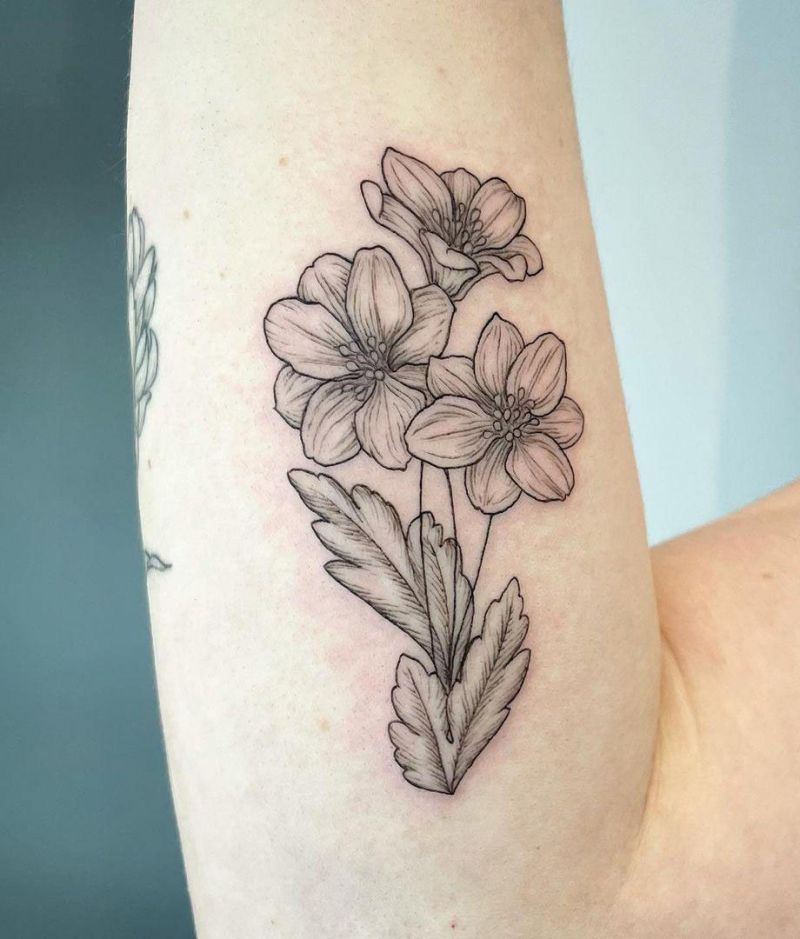 30 Pretty Anemone Tattoos You Must Try