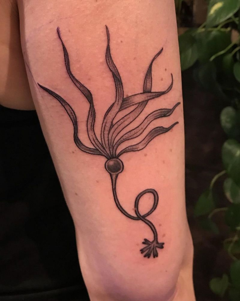 30 Perfect Kelp Tattoos You Must Try