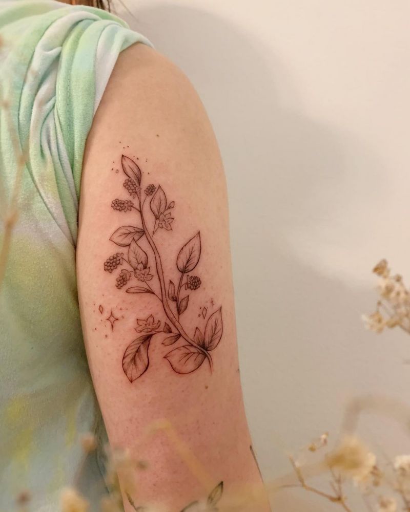 30 Pretty Blackberry Tattoos You Will Like